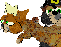 pic4.GIF (5999 bytes)